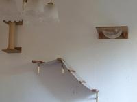 katzen kletterparadies Berlin - Hohenschönhausen Vorschau