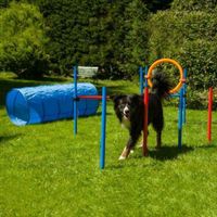 Hunde Agility Sets im McZoo Lagerverkauf Nordrhein-Westfalen - Solingen Vorschau