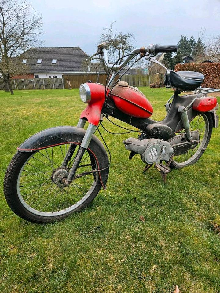 Puch Moped in Wittingen