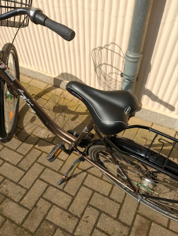 Fahrrad Damenfahrrad braun 28 Zoll City Bike mit Korb in Leipzig