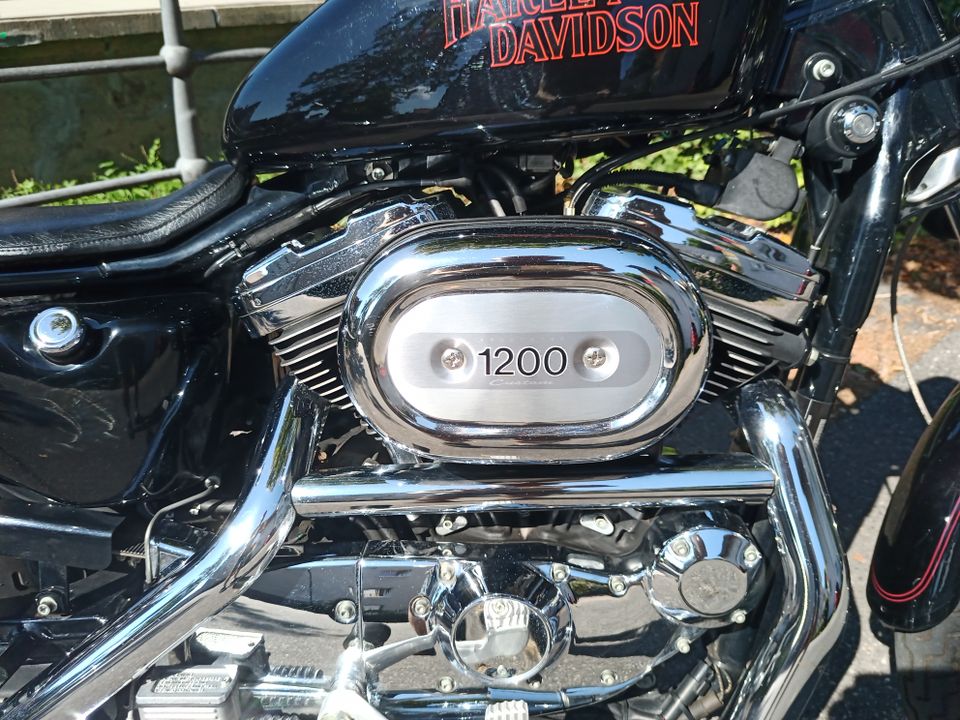 Harley Davidson 1200 Sportster, Motorrad, 1200er Sporty in Gengenbach