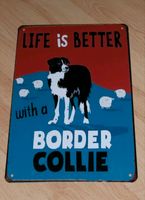 Border Collie Blechschild Schild Wandbild Deko Hund Tafel 20 x 30 Baden-Württemberg - Großrinderfeld Vorschau