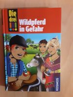 Die drei Ausrufezeichen !!! Wildpferd in Gefahr Bayern - Thyrnau Vorschau