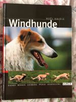 Windhunde Rassen Rennen Pflege … Dithmarschen - Tellingstedt Vorschau