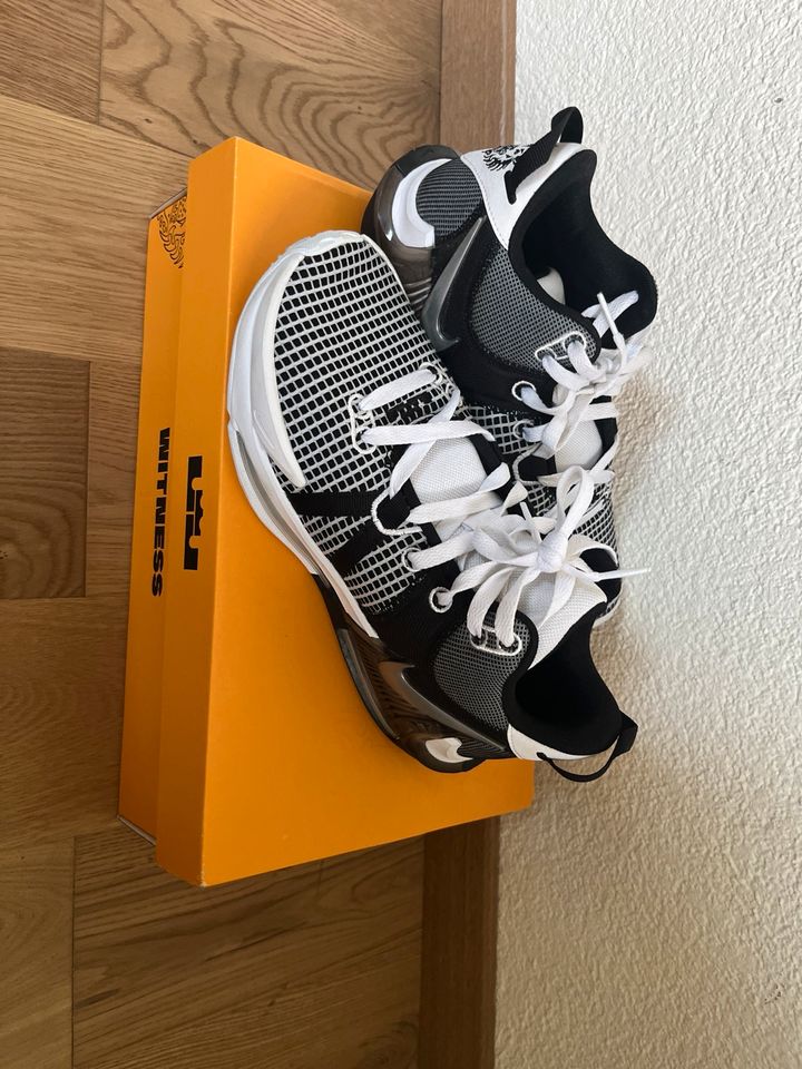 LeBron James Basketball Schuhe sise 7,5(40,5 in Darmstadt