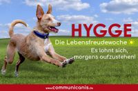 Hygge – die Lebensfreudewoche | online Bayern - Rieden a. Forggensee Vorschau