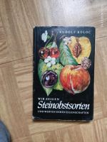 1976 Rudolf koloc wir zeigen steinobstsorten Buch Sachsen - Bernsdorf Vorschau