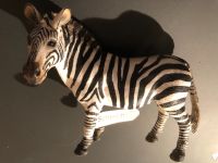 Schleich Zebra NEU München - Altstadt-Lehel Vorschau