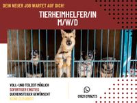 Tierheimhelfer/in gesucht (m/w/d) Berlin - Köpenick Vorschau