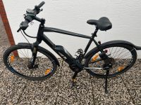 E-Bike Bulls Crossrider Evo 28 Zoll Nordrhein-Westfalen - Löhne Vorschau