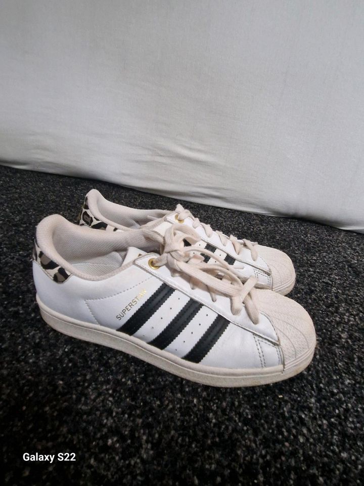 Adidas Superstars in Speyer