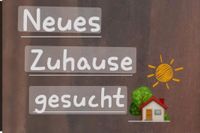 Neues Zuhause in Hänigsen gesucht !! Niedersachsen - Uetze Vorschau