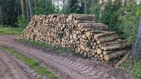 Feuerholz Brennholz Fichte 1m -2m Stämme Sachsen - Hartenstein Vorschau