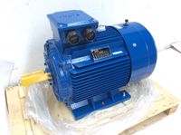 EMK-Motor KAE2G250M-2B3E3K, 3-Pha-Induktionsmotor, 55kW, 2965rpm Nordrhein-Westfalen - Korschenbroich Vorschau