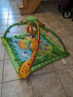 Fisher Price Rainforest Erlebnisdecke Spielbogen Baby Niedersachsen - Berge Vorschau