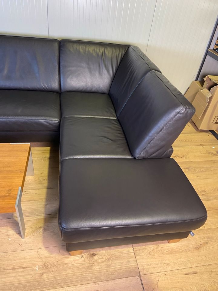 Ledersofa Schillig Ledercouch Lederecksofa Sofa Couch Schlafsofa in Paderborn