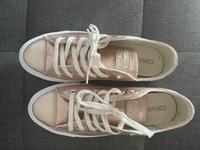 Converse All Star Gr 40 NEU Stuttgart - Stuttgart-West Vorschau