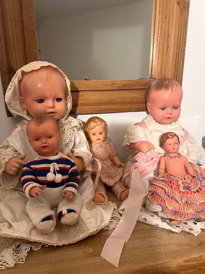 Schildkröt Puppen Konvolut 5 Stück in Hamburg