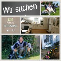 Haus auf dem Land zur Miete gesucht in 45239Essen & 25km Umgebung Essen - Essen-Werden Vorschau