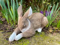 Liegender Schlafender Hase Deko Ostern Osternhase Rheinland-Pfalz - Waldbreitbach Vorschau