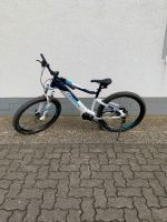 Haibike SDuro Hardseven Life 5.0 E-Bike MTB Niedersachsen - Bovenden Vorschau