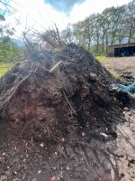 Erde/ Mutterboden Niedersachsen - Osterholz-Scharmbeck Vorschau