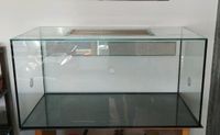 Terrarium  Formicarium 100x50x50 mit Deckel Bayern - Augsburg Vorschau