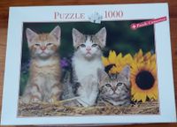 Puzzle Katzen Kätzchen 1000 Teile Baden-Württemberg - Calw Vorschau