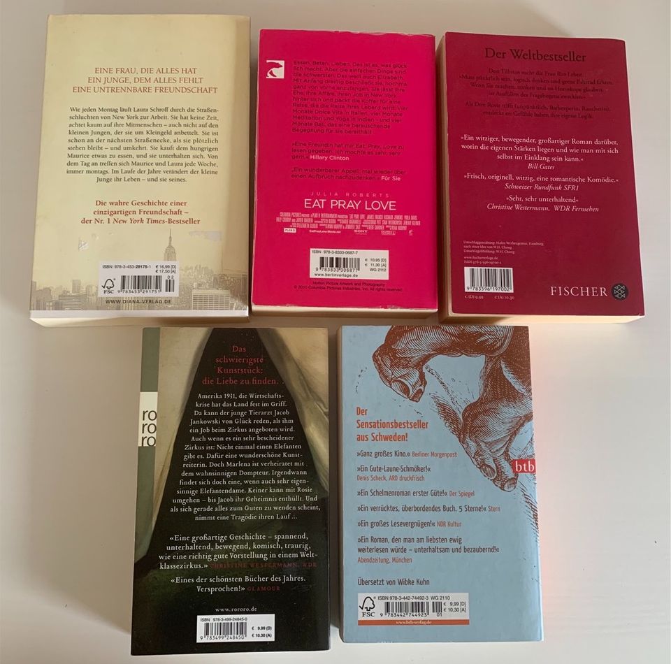 Sommerlektüre: verschiedene Taschenbücher/Romane (5 Bücher) in Kalbach