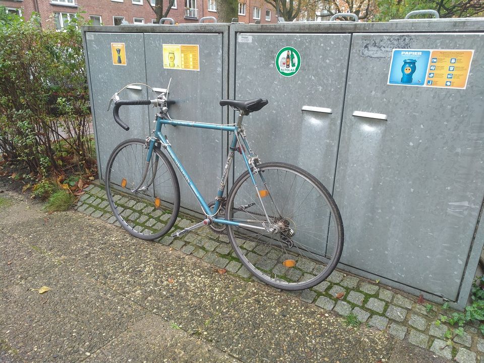 Rennrad, 49cm Rahmen, 28'' in Hamburg
