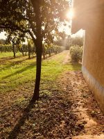 Grundstück Ungarn Balaton Plattensee Ferienhaus Weinberg Haus Baden-Württemberg - Neckarsulm Vorschau