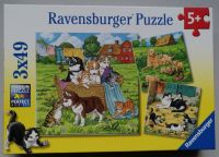 Kinderpuzzle - Süße Katzen und Hunde - Ravensburger Niedersachsen - Leiferde Vorschau