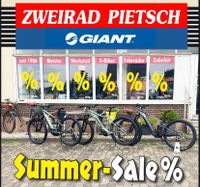 E Mountainbikes Giant Niedersachsen - Giesen Vorschau