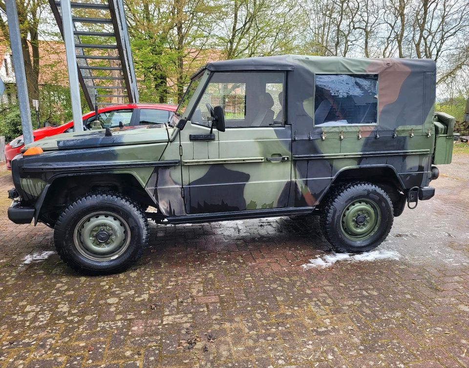 Mercedes Wolf 250GD H-Zulassung TÜV NEU in Berne