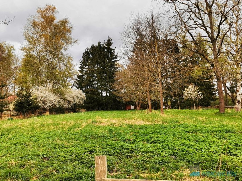 Dr. Lehner Immobilien NB- Erholungsinsel mit Gartenhaus und großem Grundstück in Loitz (Bei Demmin)