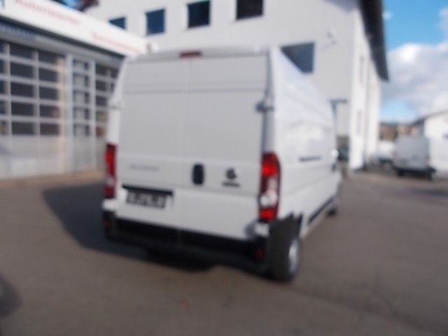 Fiat Ducato in Viechtach