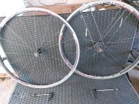 Laufräder Campagnolo Zonda 28er Nordrhein-Westfalen - Krefeld Vorschau