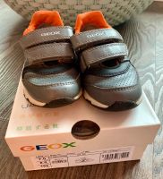 Geox Sneaker / Schuhe Kind Gr. 23 aus 1. Hand Hamburg Barmbek - Hamburg Barmbek-Süd  Vorschau