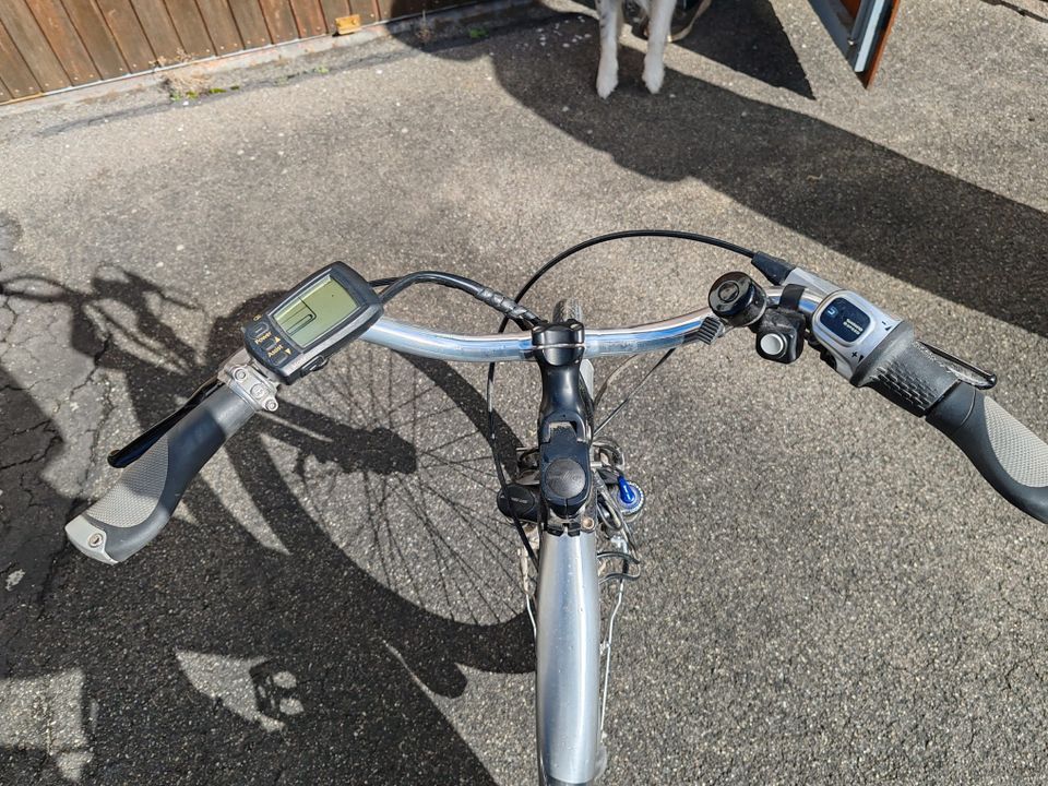 Ebike Marke Flyer C5 deluxe in Weil im Schönbuch