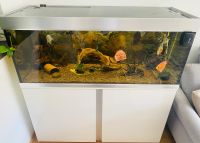 Schöne 300l Aquarium komplett-Set mit viel Zubehör! Leipzig - Möckern Vorschau