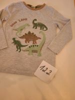 Longsleeve neu langarm Shirt Oberteil grau Dino Dinosaurier 122 Nürnberg (Mittelfr) - Mitte Vorschau