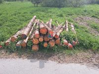 Brennholz ca 2m lang ca. 3 ster Bayern - Bobingen Vorschau