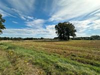 Ackerfläche in Wagenfeld zur Verpachtung. Niedersachsen - Wagenfeld Vorschau