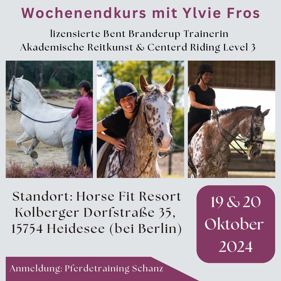 Wochenendkurs mit Ylvie Fros | Akademische Reitkunst & CDR in Heidesee