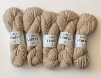 Lang Yarns ⭐️ Andina 100 % Alpaka Wolle - Farbe 738.0026 Hamburg-Mitte - Hamburg St. Pauli Vorschau