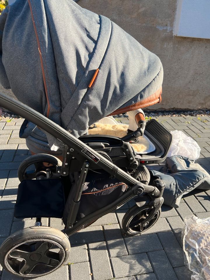 Kinderwagen Modena Coletto 2in1 in Ebersbach bei Großenhain