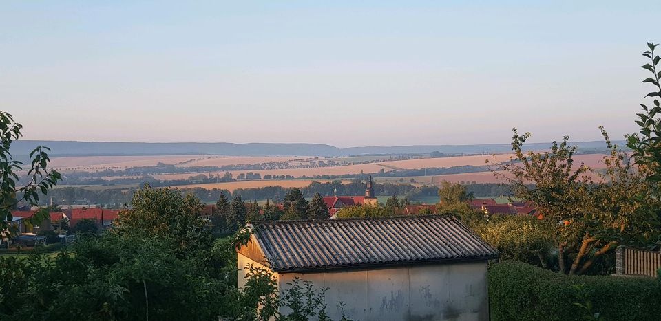 Kleingarten sucht neuen Kleingärtner, Garten in Kirchworbis