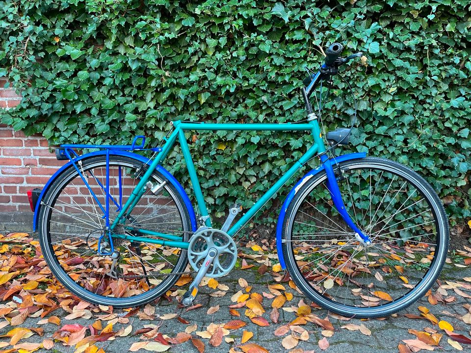 Öko Kult Fahrrad Greenpeace Herren 80er in Hannover