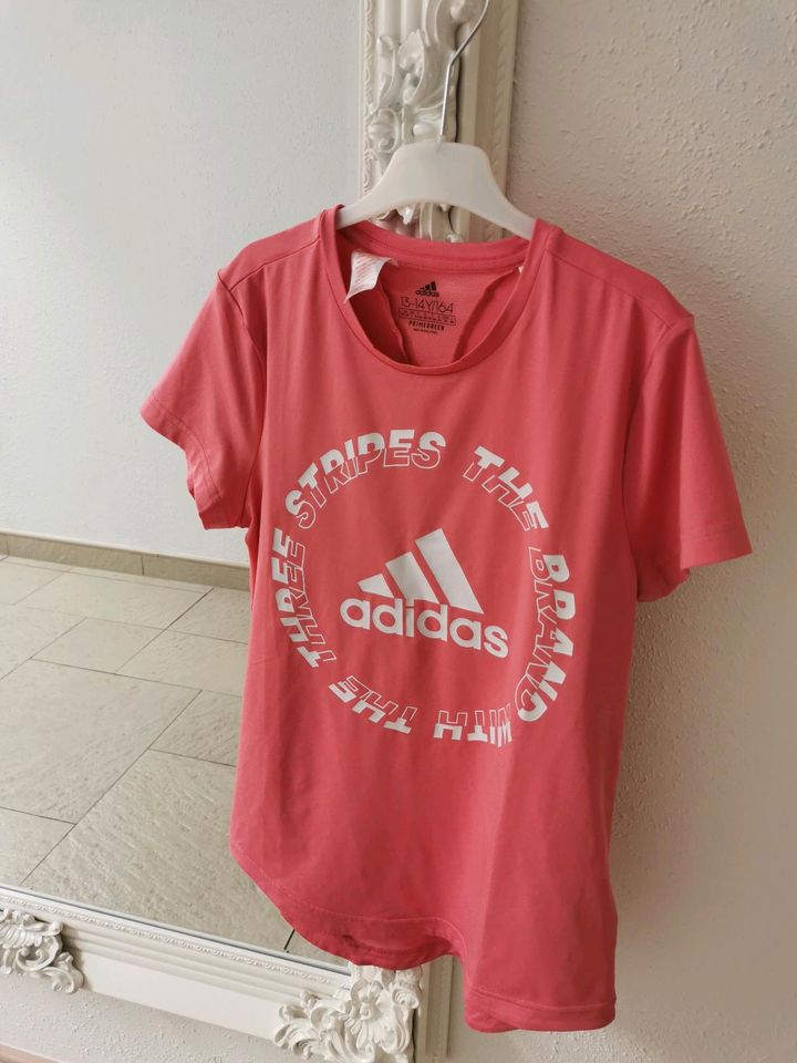 Adidas Shirt Gr. 164 in Teichland