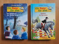 Buch "Ein Pony für drei" Baden-Württemberg - Niederstetten Vorschau